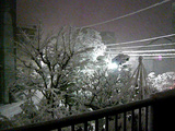 my room window