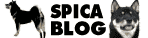 �Х�