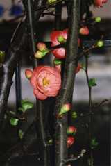 2b9d0083.jpg