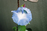 94d63183.jpg
