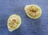 c8d2993b.jpg