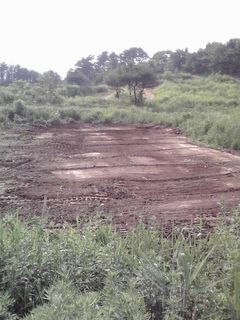 P1005158