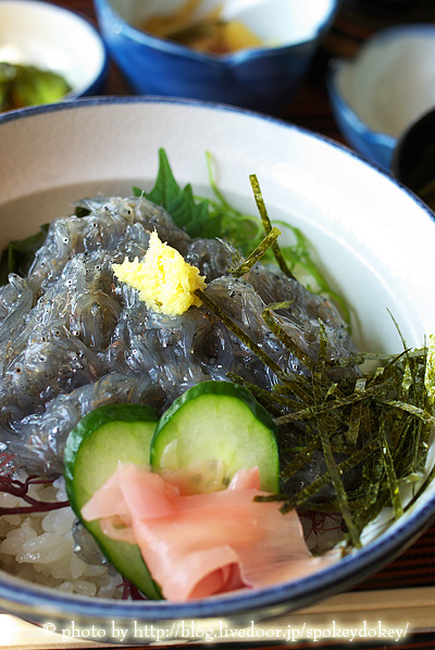 生しらす丼