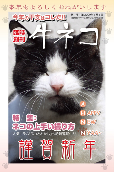 2009年賀