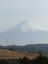 e55db1f3.jpg
