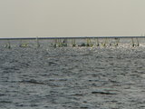 P1080077