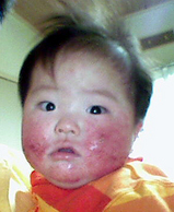 yokoi-����