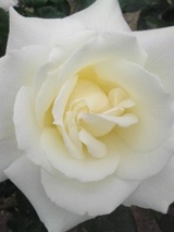 c2372ac9.jpg