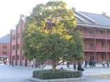 df87a455.JPG