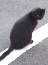 b0e9340c.jpg