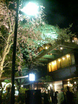 hanami