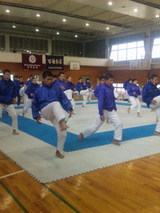 6545765b.jpg
