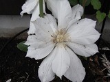 R0011657