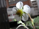 R0011661