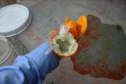 colombia_15_s