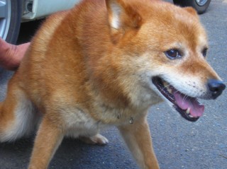 ���硼����