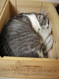̲�뤮�󤮤�
