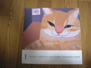 ǭ��������������