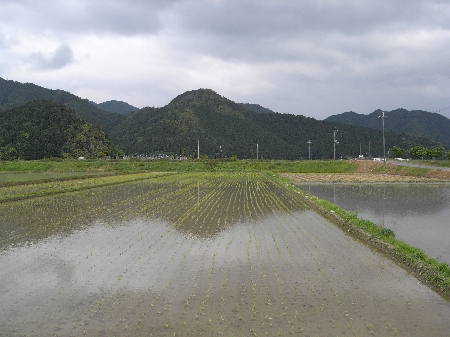 丹波の田園風景