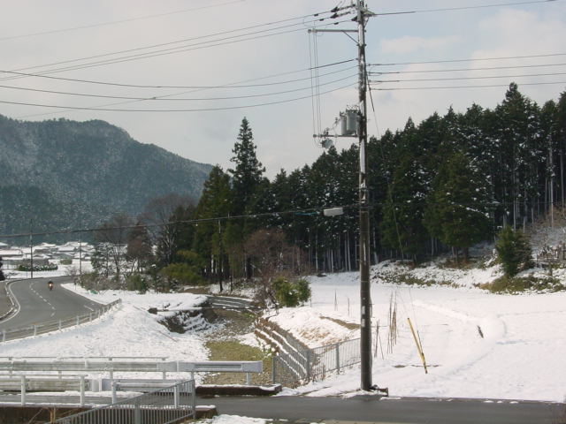 ������ꤹ��