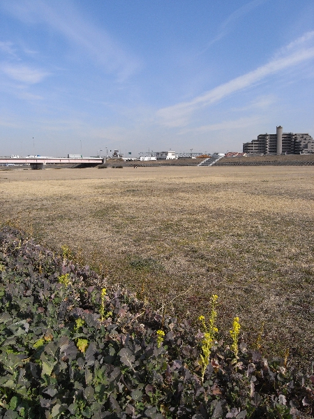 河川敷2