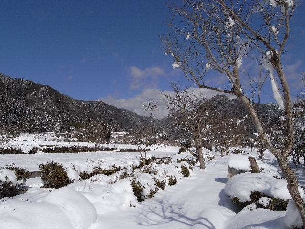 晴天の雪景色