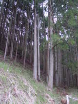 8a0f2394.jpg