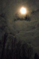 058d36a1.jpg