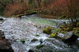 Shasta Headwaters, 1-09-10, 9, web