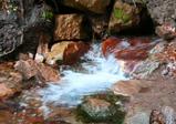 Shasta Headwaters, 1-09-10, 4 web