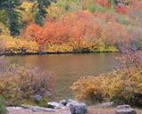 Castle Lake, 10-18-09, 2 web