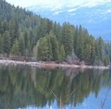 Lake Siskiyou, 1-10-10, 9 web