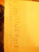 17128d24.JPG