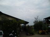 c029f5f5.JPG