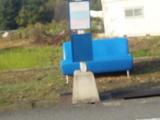 f45a9176.JPG