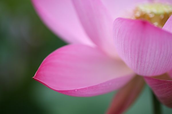 IMG_3458