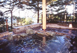 48104043.jpg