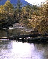 b3002671.jpg