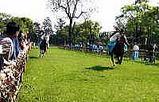 7373d56d.jpg