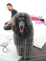 DSCN1689