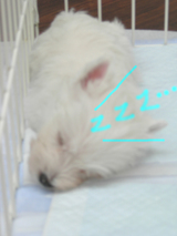 DSCN1693