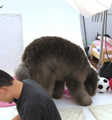 DSCN1691