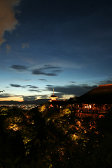 6317f4c3.JPG