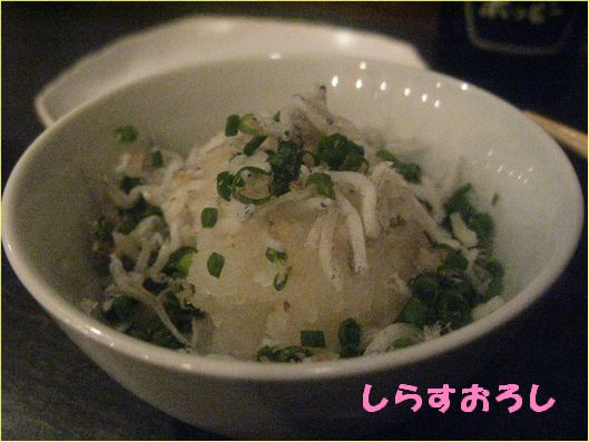 �Ϥ����ŵ塡���餹������