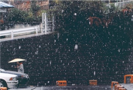 横浜初雪