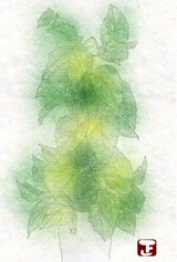 441507cd.jpg