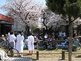 花見６