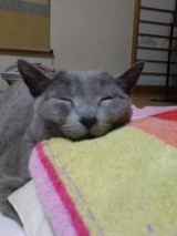 みんちゃん