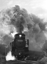 232c54e3.jpg