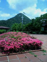 2cc93500.jpg